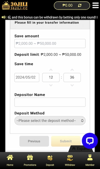 Step 4: Enter your money transfer details into the form
