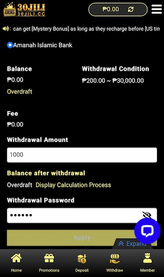 Step 4: input the desired withdrawal amount and enter your withdrawal password
