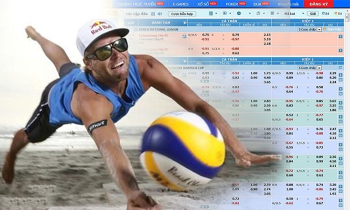 Learn about popular volleyball betting